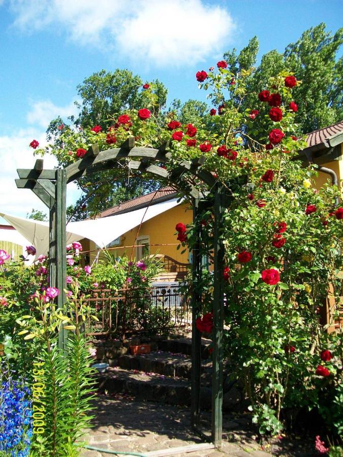 Barrel -Schlafen Im Fass Hotel Gorleben Bagian luar foto