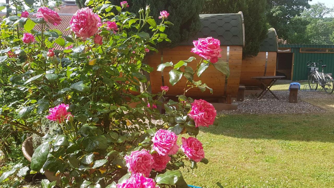 Barrel -Schlafen Im Fass Hotel Gorleben Bagian luar foto